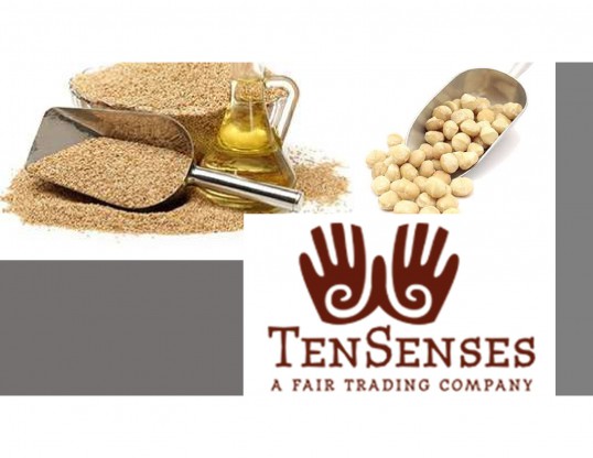Tensenses Africa Ltd-1